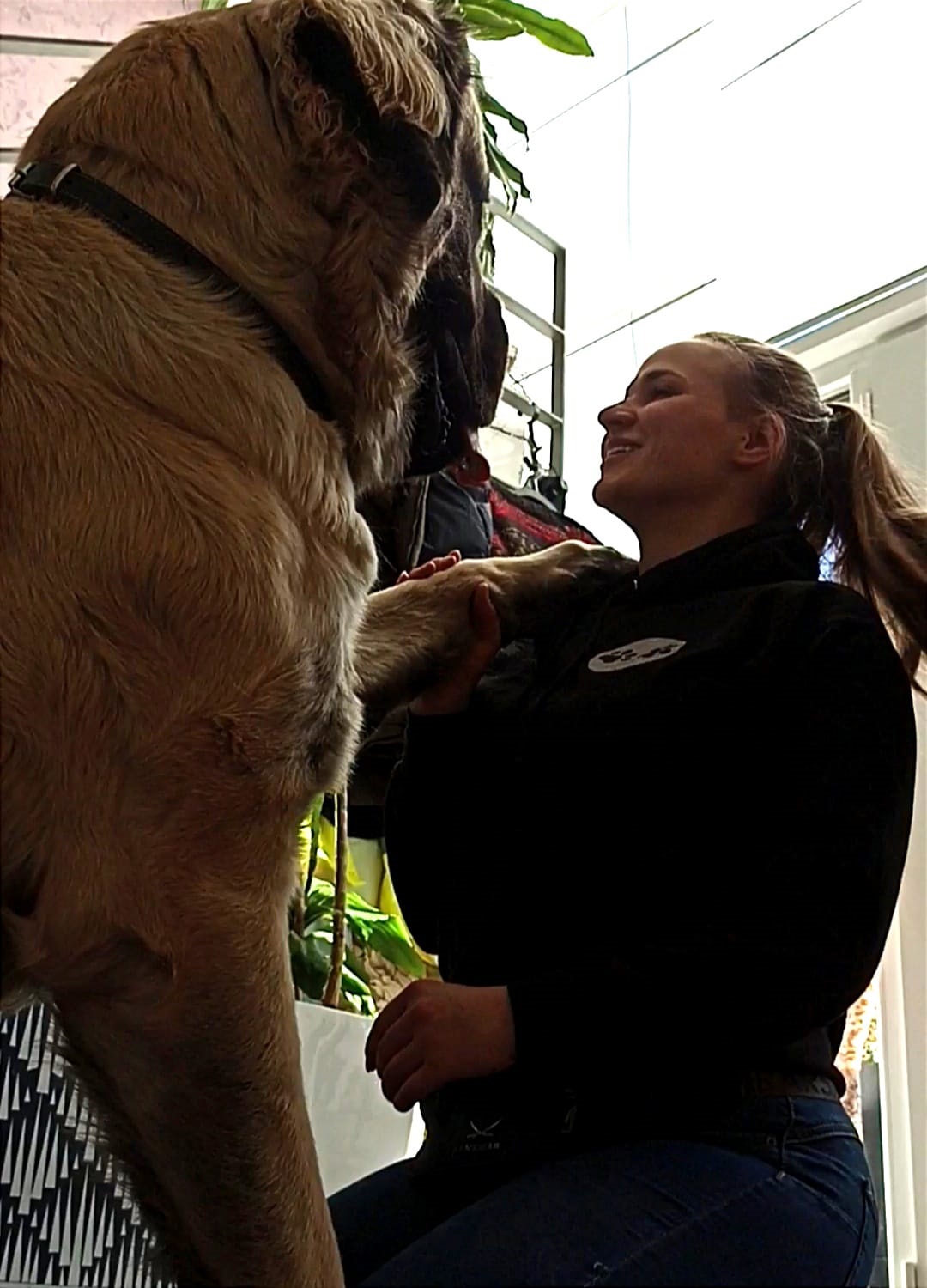 Dog Walker und Rudelführer Jana Körner