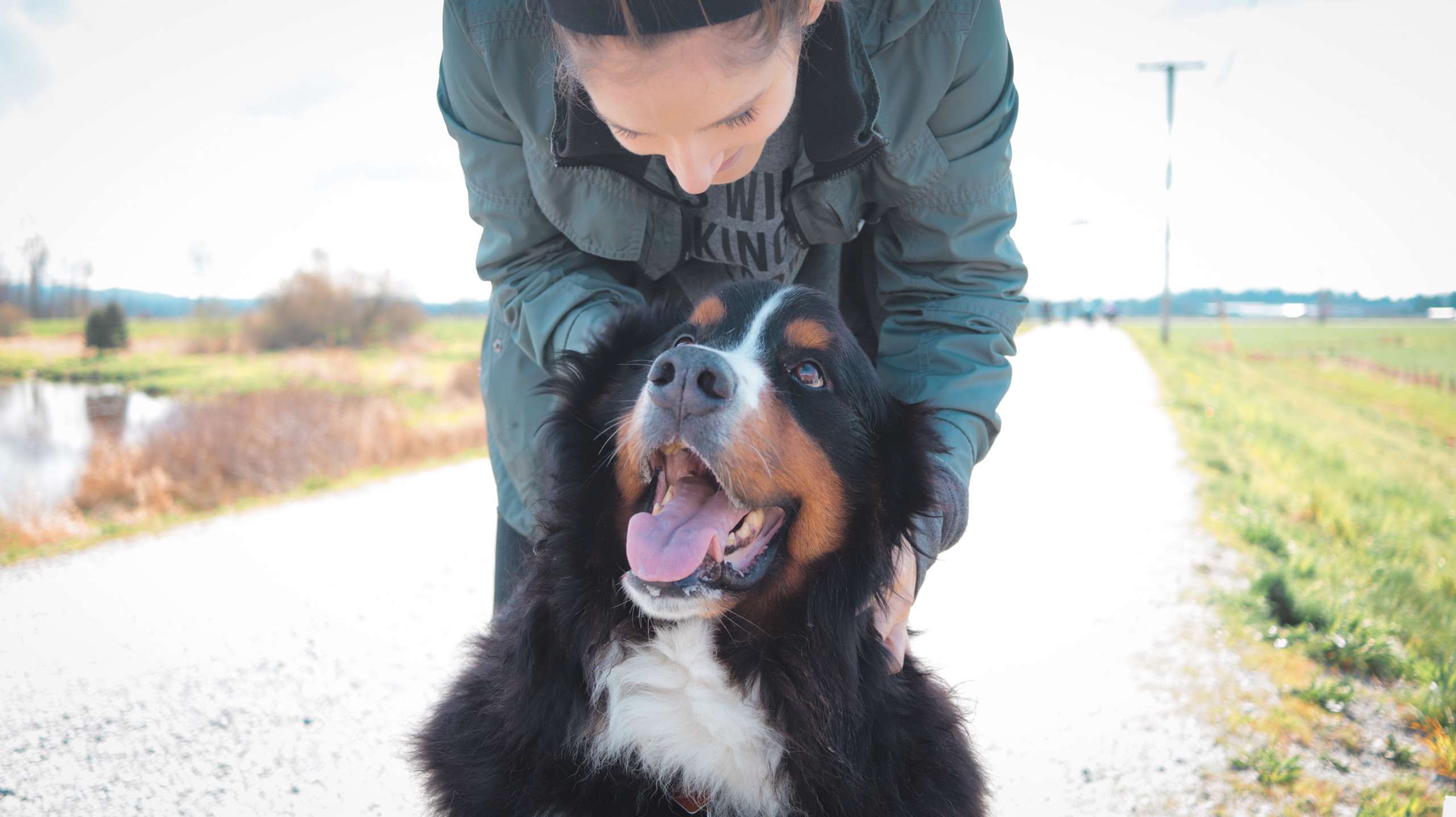 Dog Walker