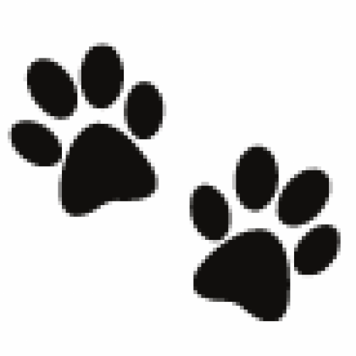 Paws - Dog Walker Route