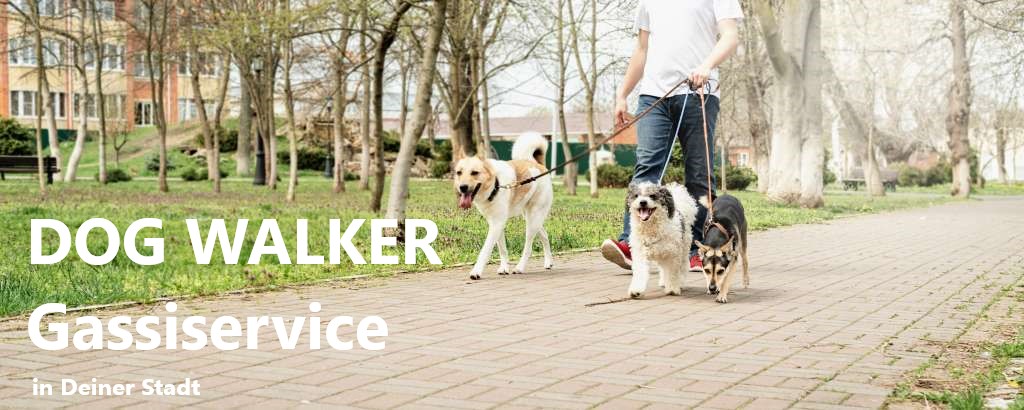 Dog Walker, Hundekindergarten und Gassiservice in Kaiserslautern