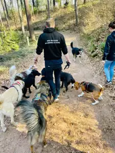 Dog Walker und Rudelführer Jonas