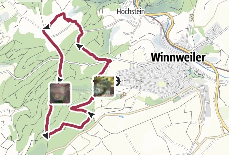 Hundewanderung Winnweiler