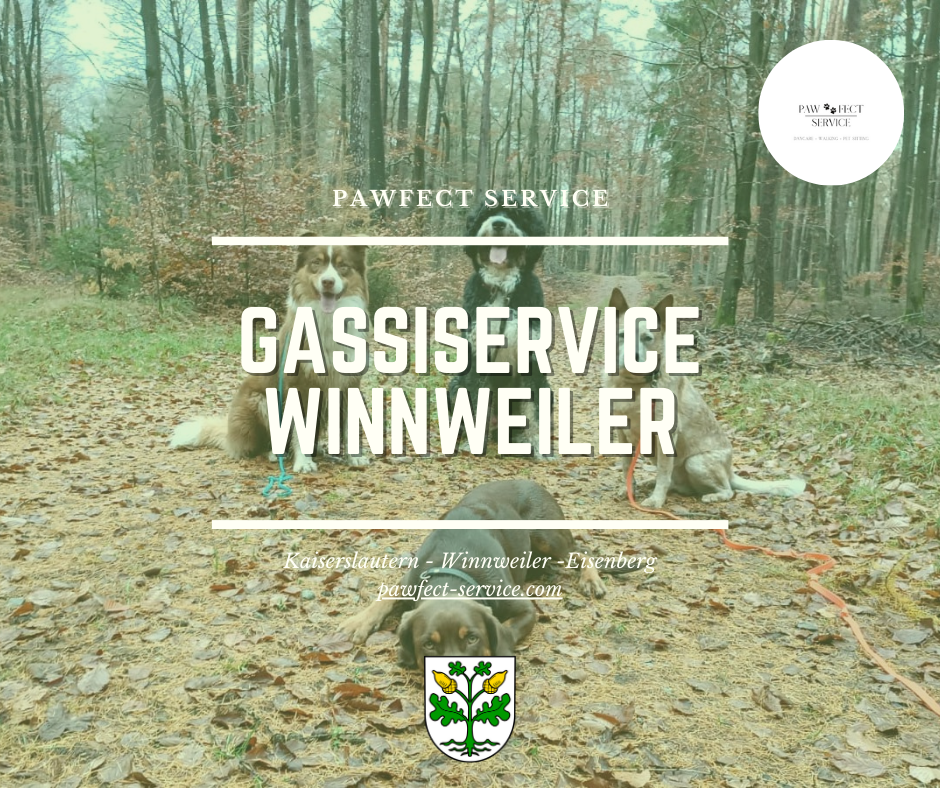 4 Hunde beim Gassi mit Schriftzug 'Gassiservice WEinnweiler'