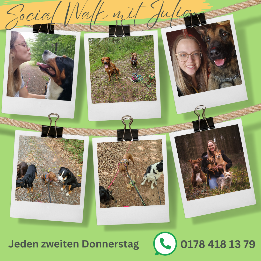 Social Walk Bilder mit Julia