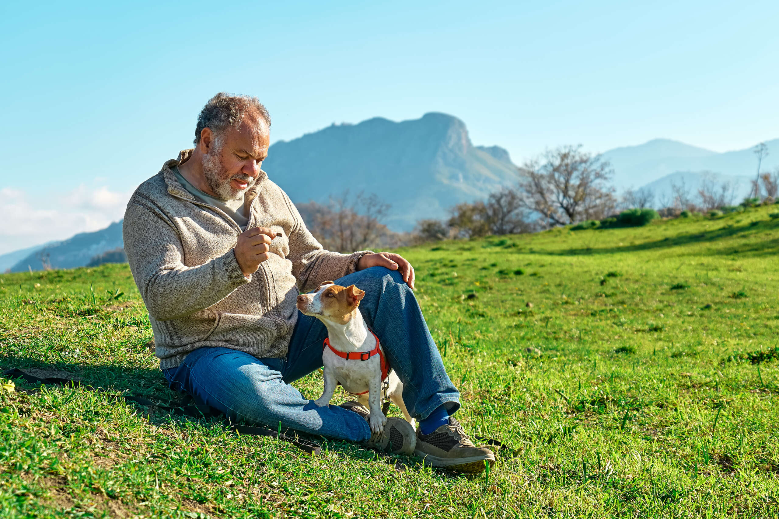 Grauhaariger Mann macht einen Spaziergang mit seinem Jack-Russell-Hund auf einer Wiese in einer bergigen Gegend. Älterer Mann verbringt Zeit im Freien mit seinem Hund in der Natur.